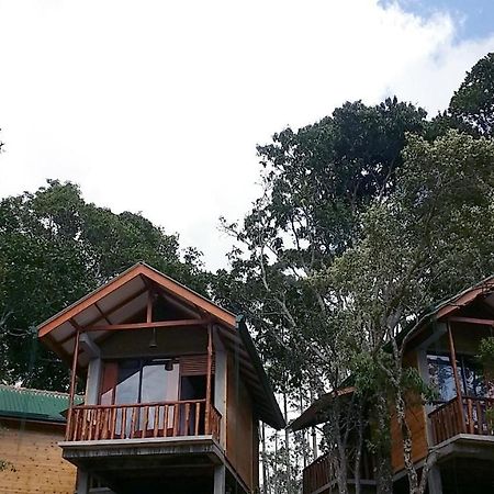 Saffron Eco Cottage Ella Zewnętrze zdjęcie