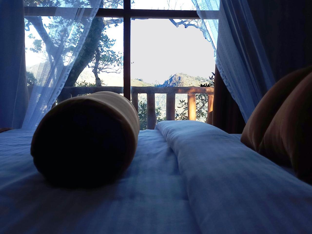 Saffron Eco Cottage Ella Zewnętrze zdjęcie