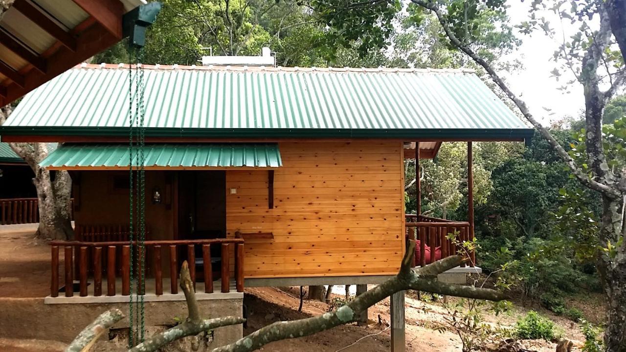 Saffron Eco Cottage Ella Zewnętrze zdjęcie