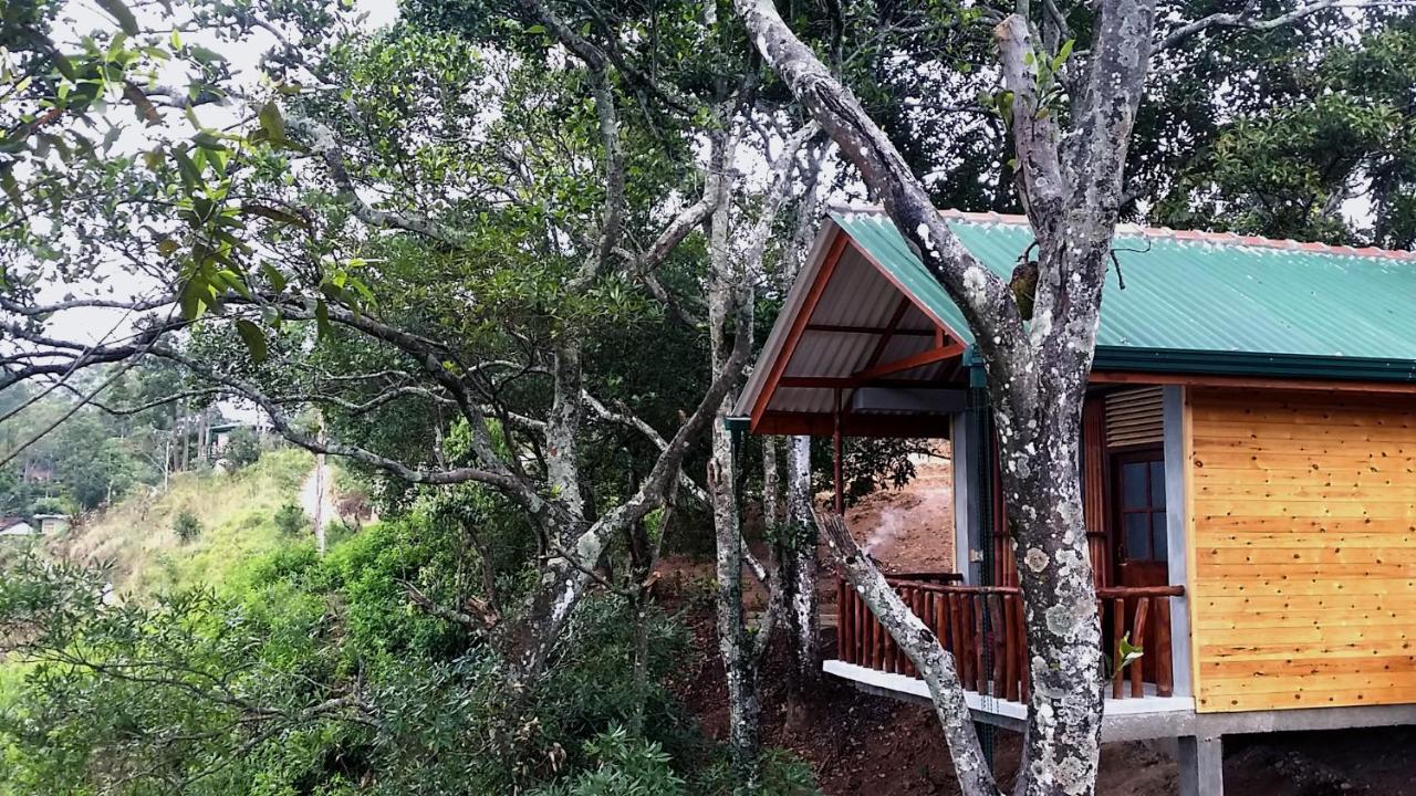 Saffron Eco Cottage Ella Zewnętrze zdjęcie