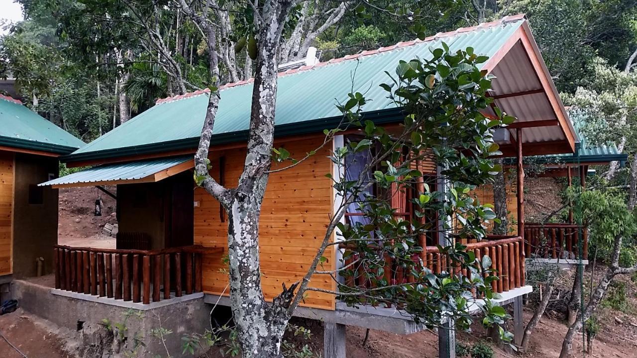 Saffron Eco Cottage Ella Zewnętrze zdjęcie