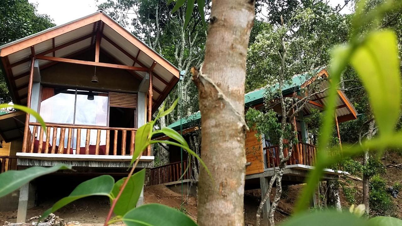 Saffron Eco Cottage Ella Zewnętrze zdjęcie