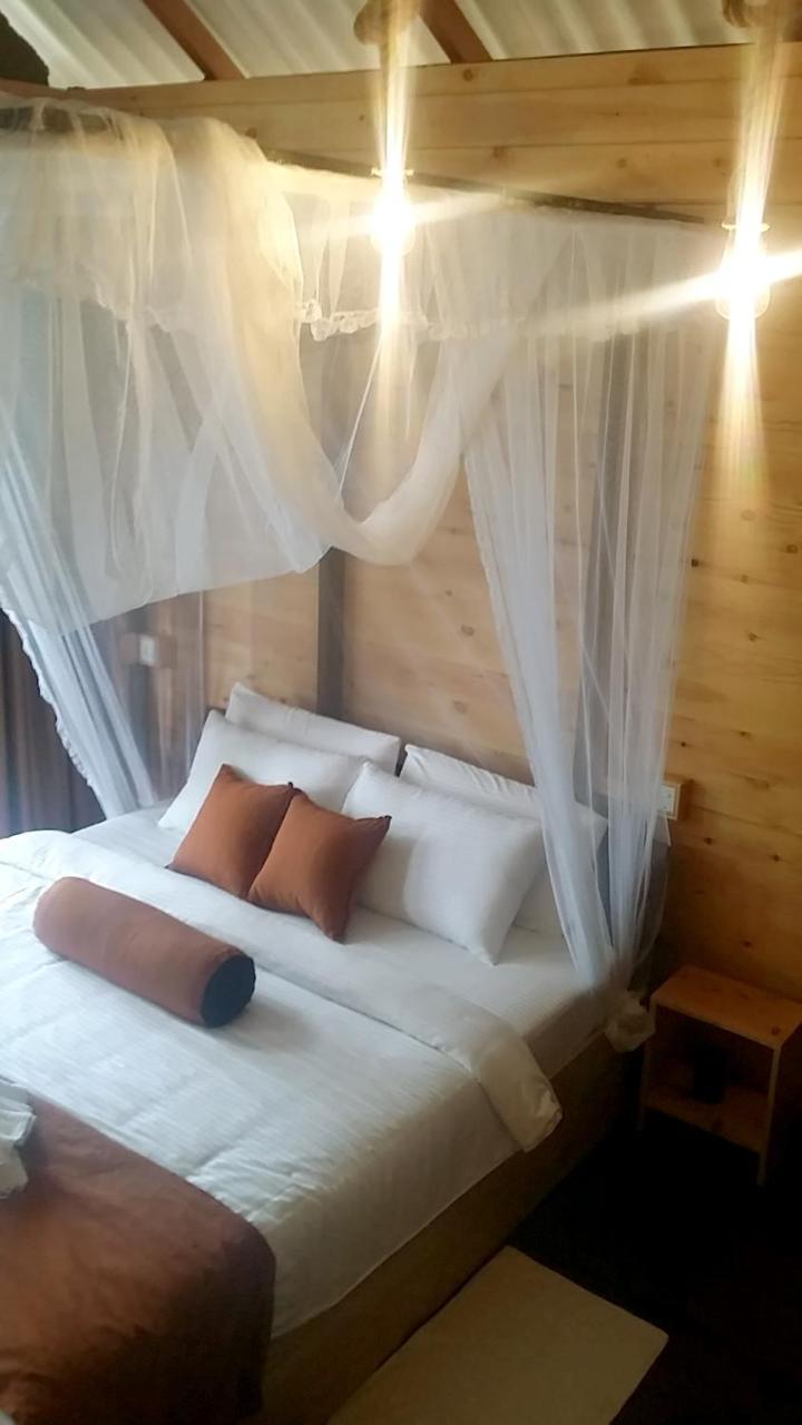 Saffron Eco Cottage Ella Zewnętrze zdjęcie