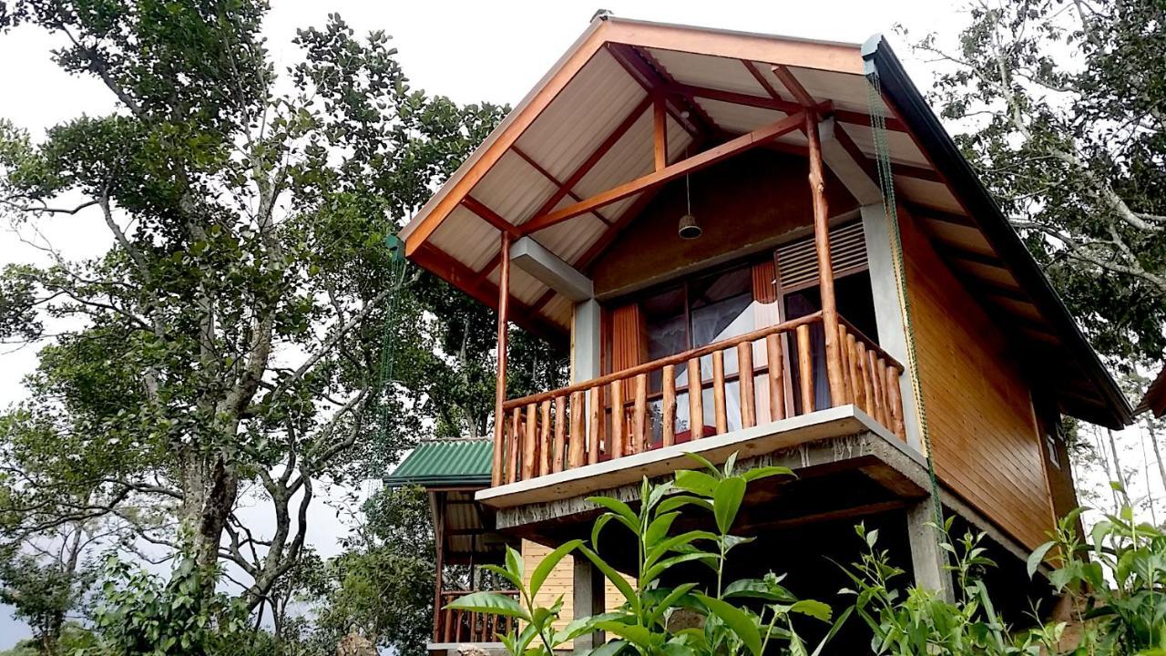 Saffron Eco Cottage Ella Zewnętrze zdjęcie